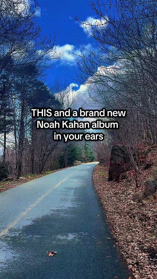 Post 4 by Sarah on TikTok (video)