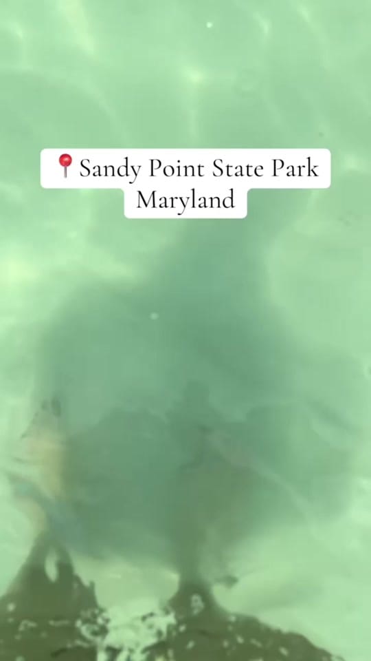 Post 6 by Joe Ripple on TikTok (video)