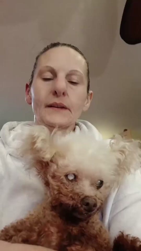 Post 2 by Joe Ripple on TikTok (video)