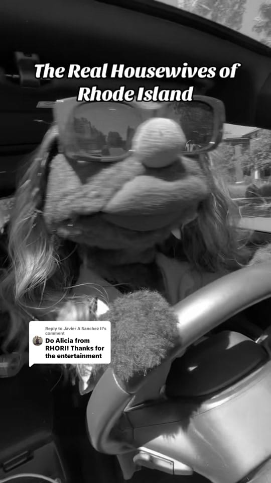 Post 3 by Fabulous Puppets on TikTok (video)