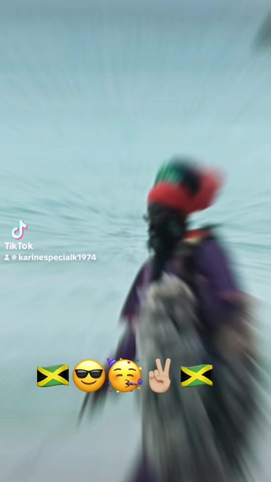 Post 7 by Karine Legendre on TikTok (video)