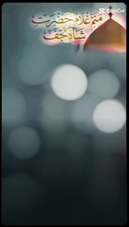 Post 5 by Allama Hashim Raza Ghadiri on TikTok (video)