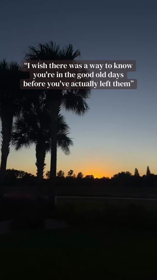 Post 3 by Our Shel on TikTok (video)