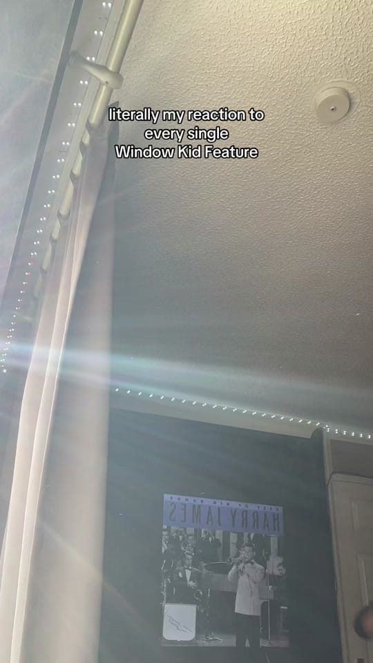 Post 8 by Our Shel on TikTok (video)