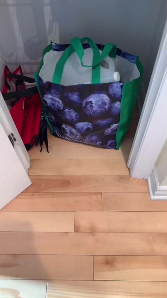 Post 4 by Josee 🇨🇦 on TikTok (video)