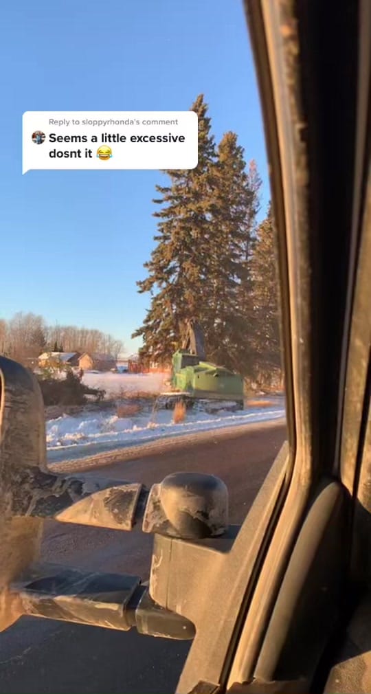 Post 7 by Thomcat Management Ltd on TikTok (video)