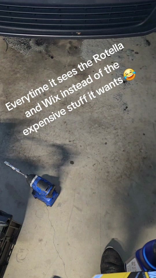 Post 9 by Ears on TikTok (video)