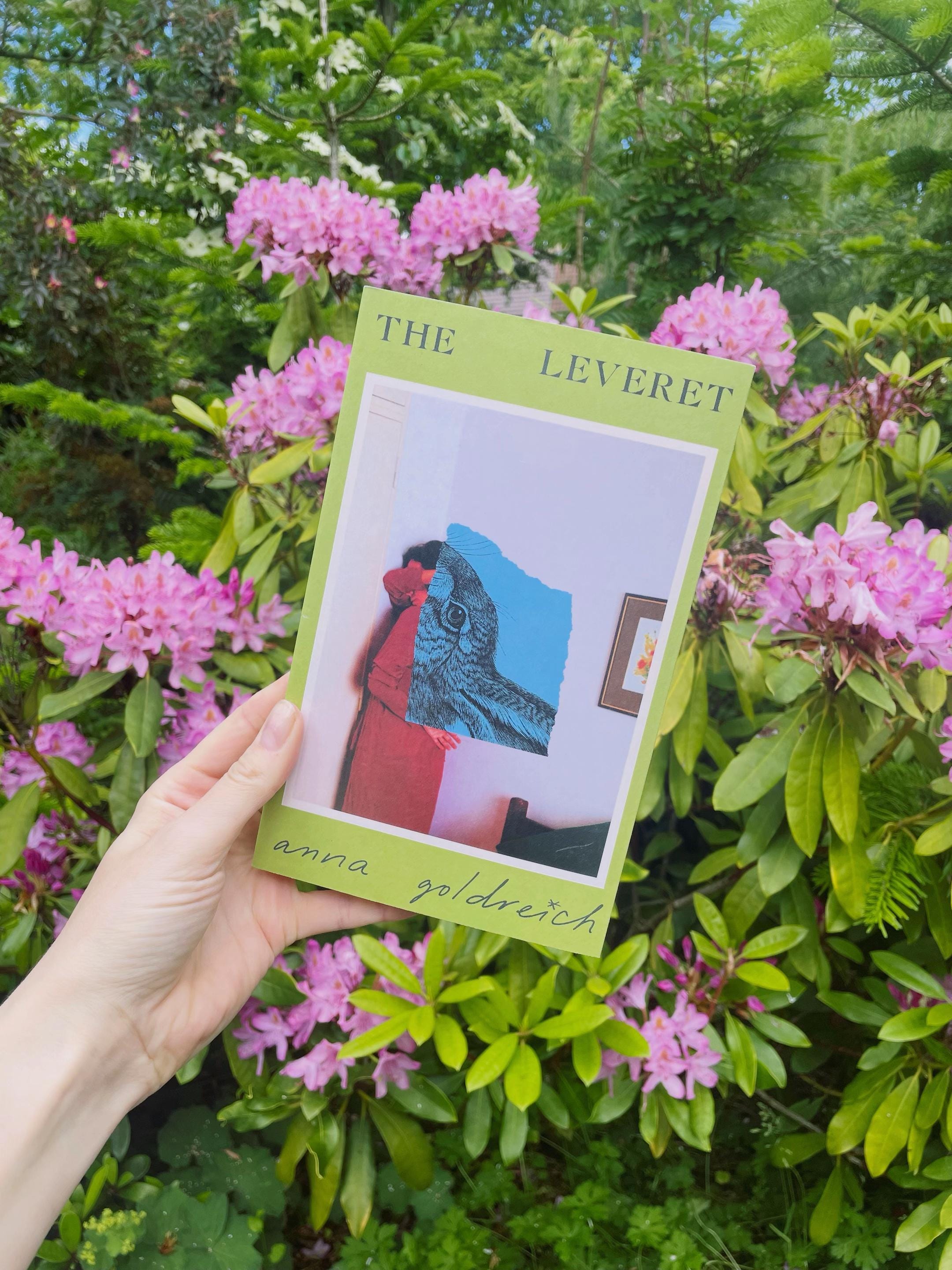 Post 5 by hannah.s.books on TikTok (video)