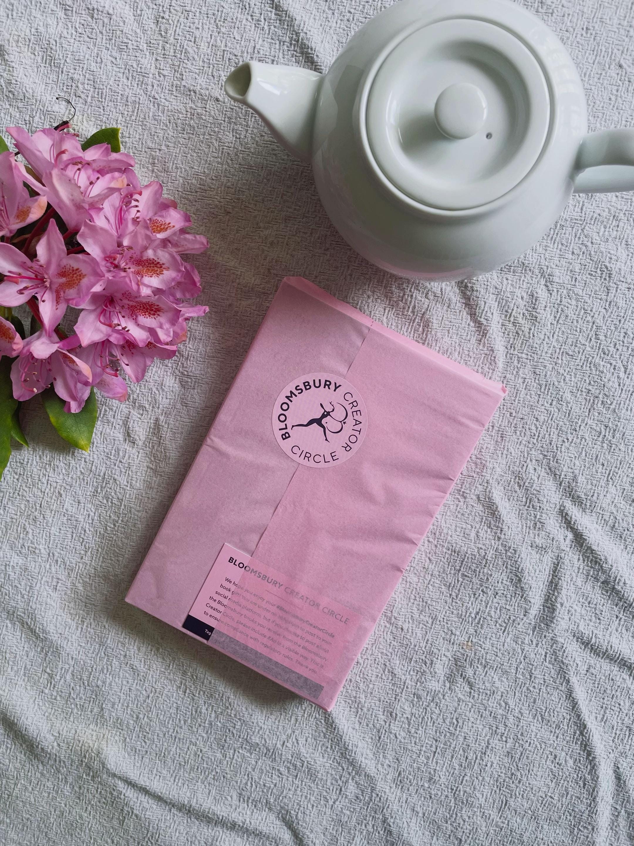 Post 4 by hannah.s.books on TikTok (video)