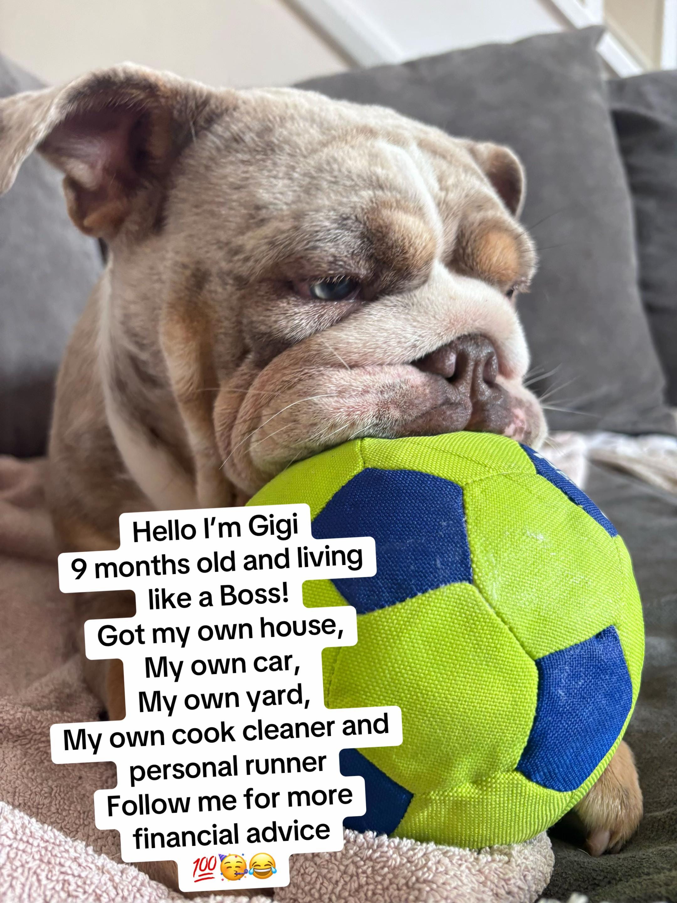 Post 7 by Mrs S on TikTok (video)