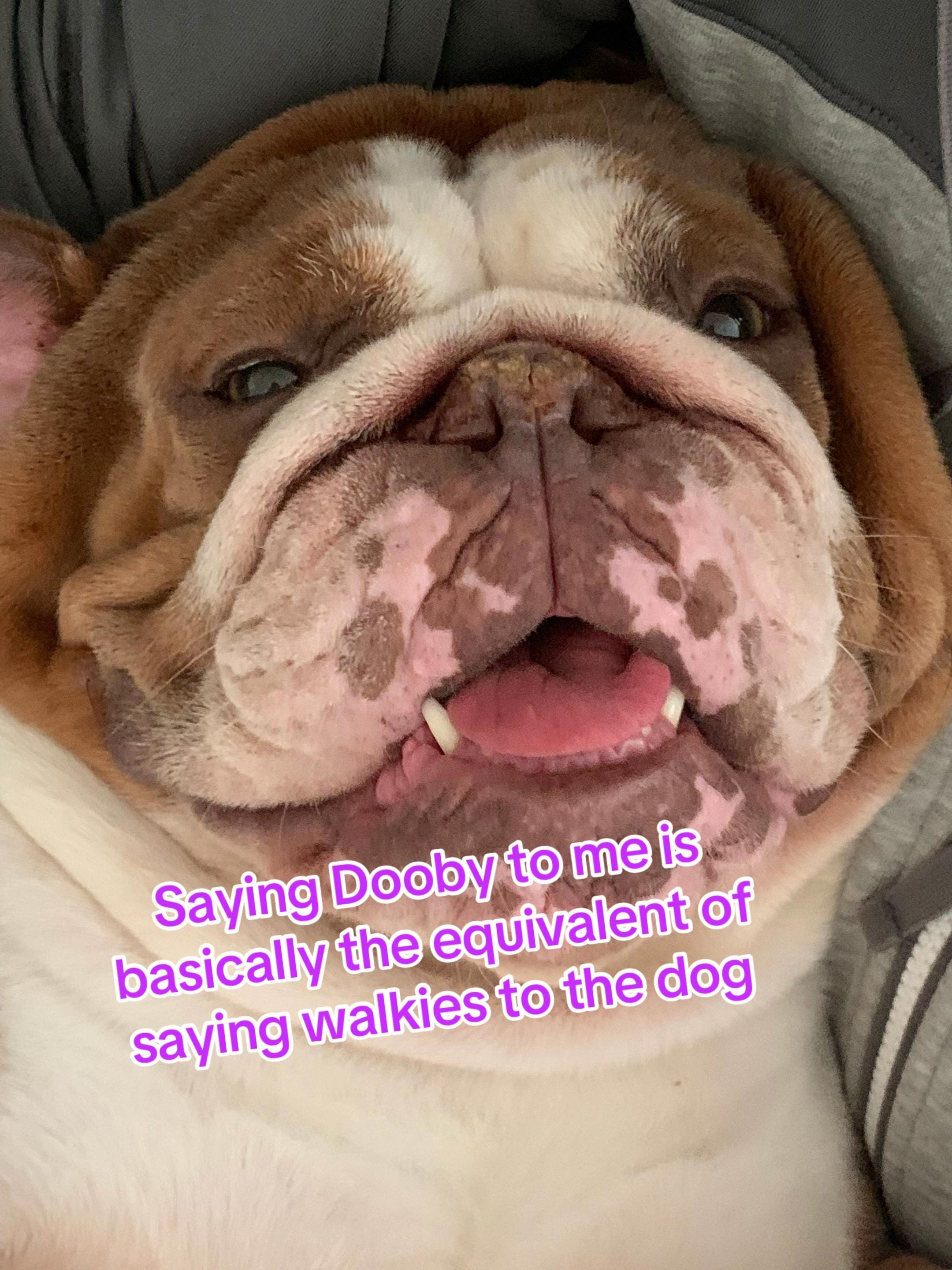 Post 3 by Mrs S on TikTok (video)