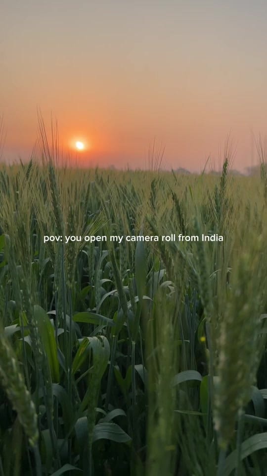 Post 4 by Harbir Sian on TikTok (video)