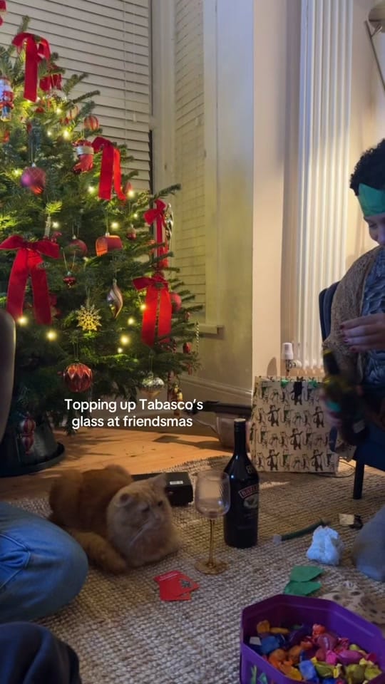 Post 1 by Melissa Solmaz on TikTok (video)