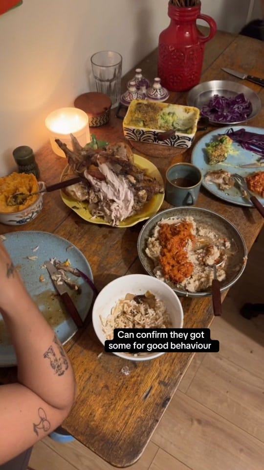 Post 5 by Melissa Solmaz on TikTok (video)