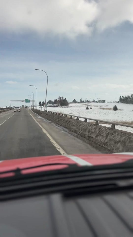 Post 5 by Shaun Majumder on TikTok (video)