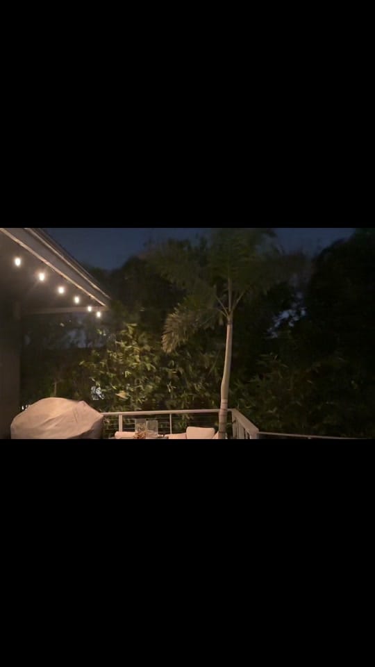 Post 7 by Shaun Majumder on TikTok (video)