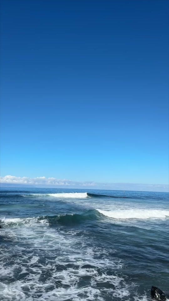 Post 4 by harrypints on TikTok (video)