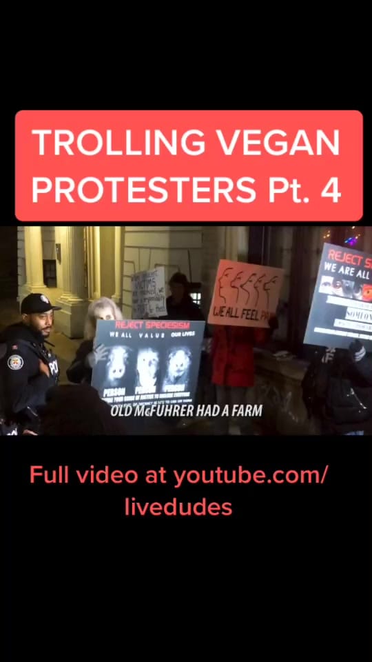Post 5 by livedudescomedy on TikTok (video)