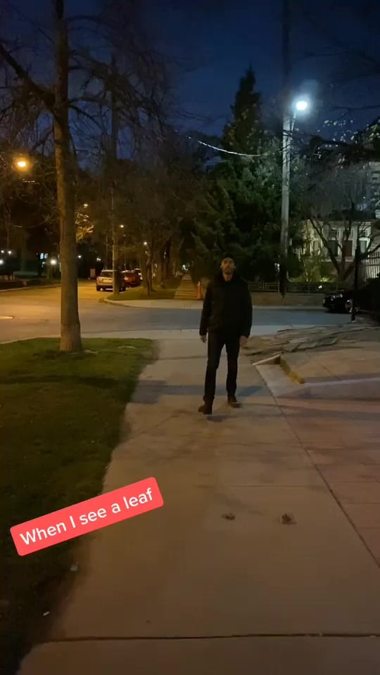 Post 1 by livedudescomedy on TikTok (video)