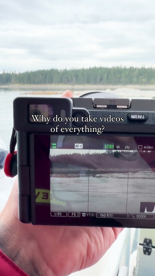 Post 6 by Adrian Sammy on TikTok (video)
