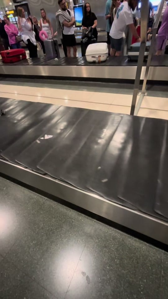 Post 10 by Beth Dougherty💛 on TikTok (video)