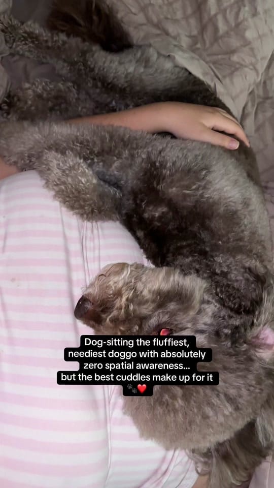 Post 2 by Beth Dougherty💛 on TikTok (video)