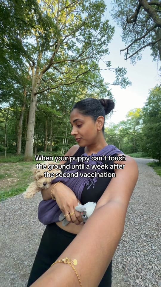 Post 2 by Navey on TikTok (video)