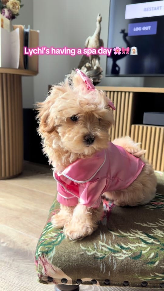 Post 9 by Navey on TikTok (video)