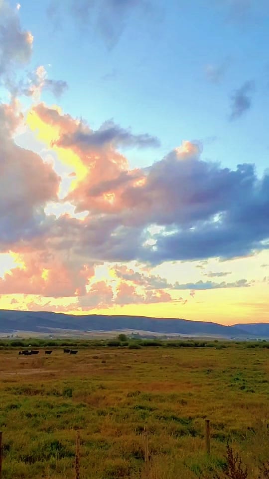 Post 9 by Richard Anderson on TikTok (video)