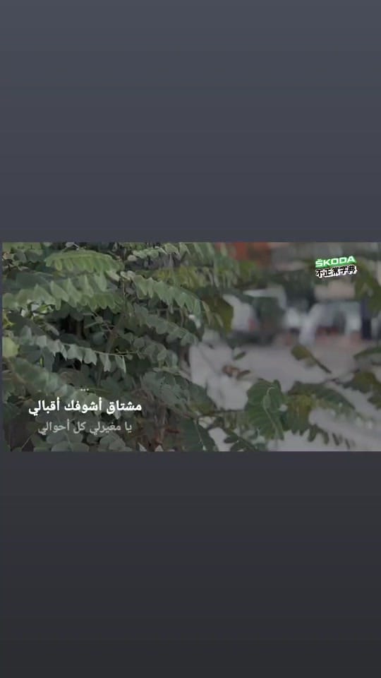Post 10 by MAHMOUD ll آبو خآلد ♡ on TikTok (video)