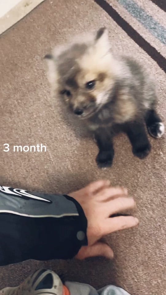 Post 1 by Alan-Holdheide on TikTok (video)