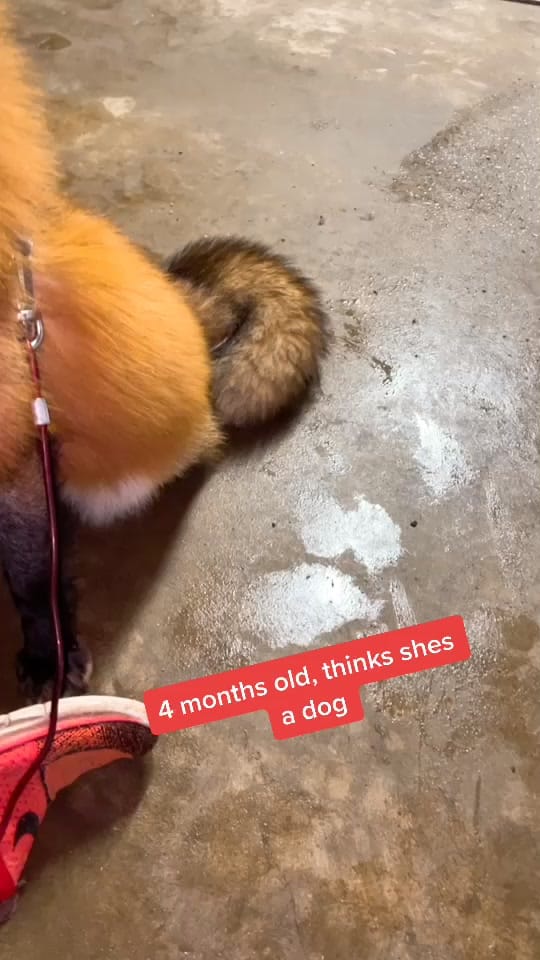 Post 10 by Alan-Holdheide on TikTok (video)