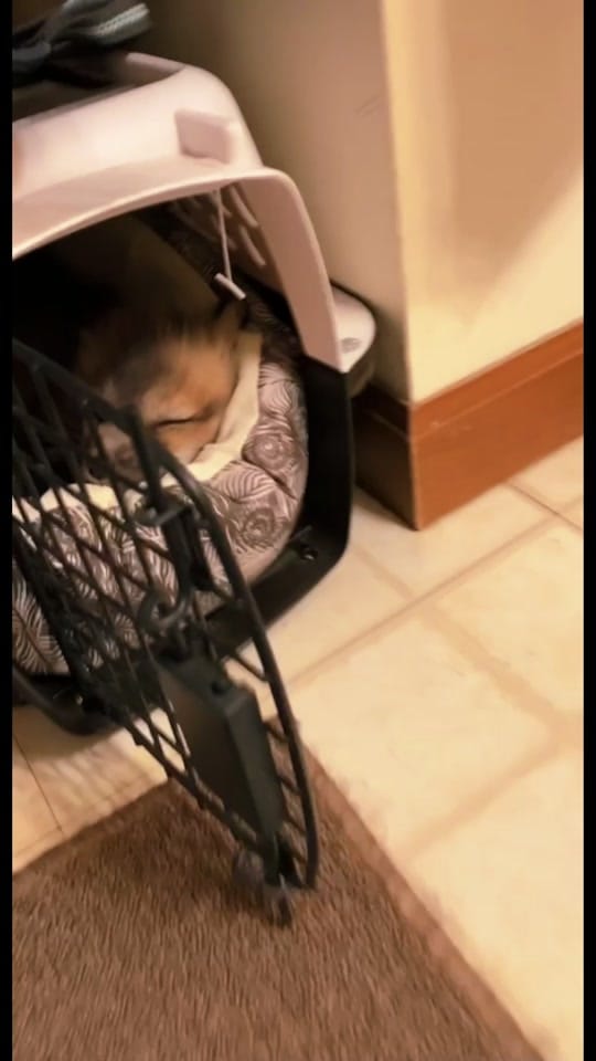 Post 9 by Alan-Holdheide on TikTok (video)