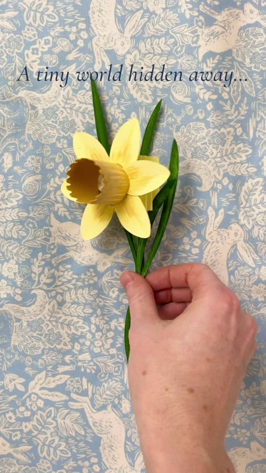Post 7 by Alley McGlynn on TikTok (video)