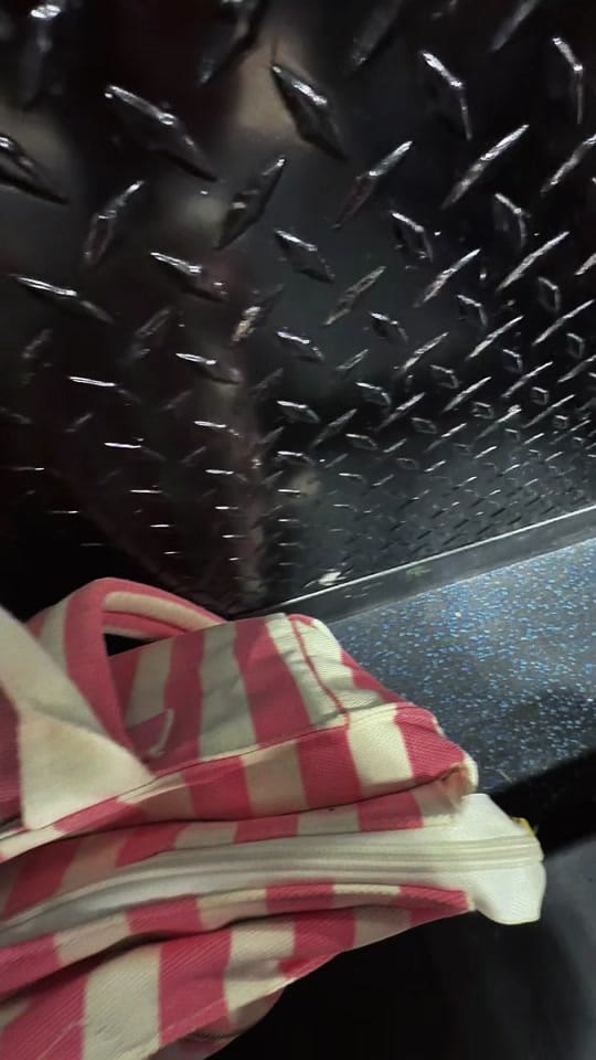 Post 4 by Jeanette Horning on TikTok (video)