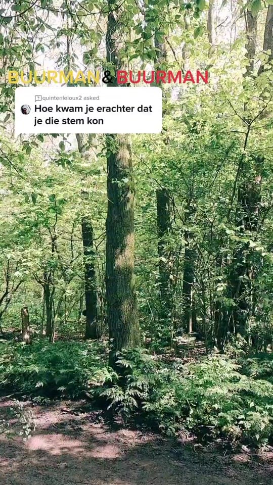 Post 10 by Robert Nederlof on TikTok (video)