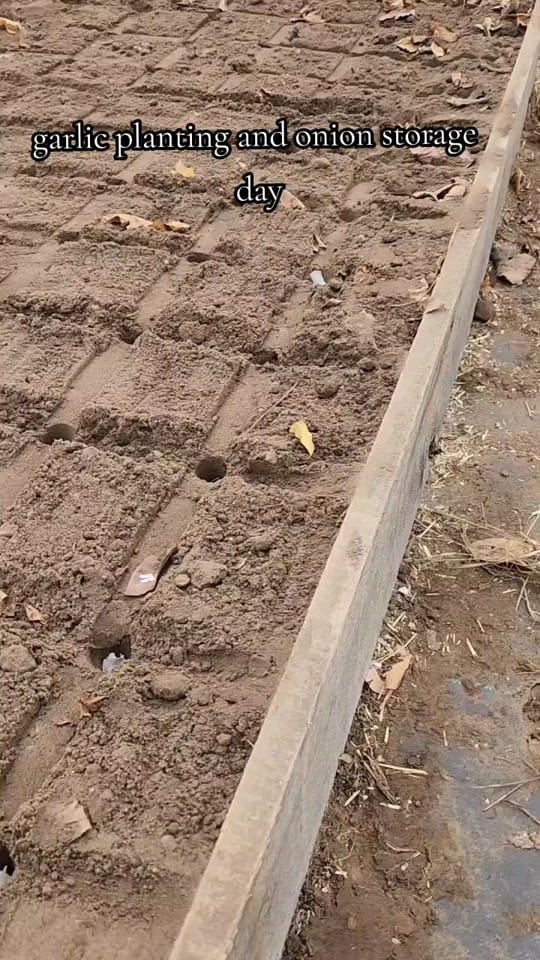 Post 8 by Operation 2030x - Freedom News on TikTok (video)
