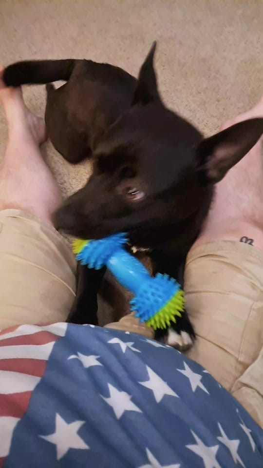 Post 7 by Bearded Texan (Buc-ee) on TikTok (video)