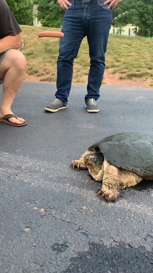 Post 9 by Bearded Texan (Buc-ee) on TikTok (video)