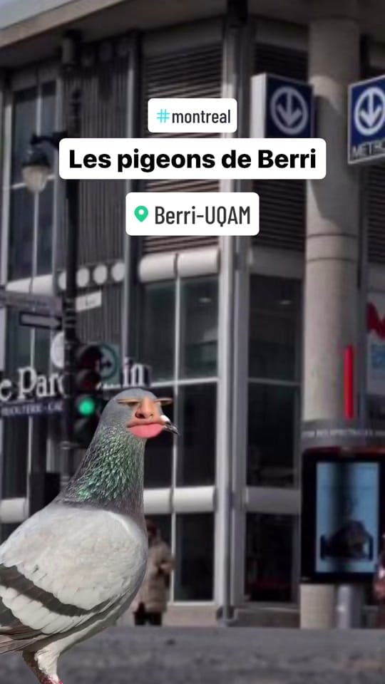 Post 6 by Wsclaval on TikTok (video)