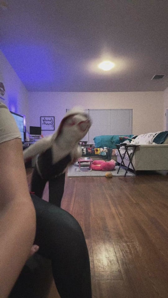 Post 1 by Cassandra1 on TikTok (video)