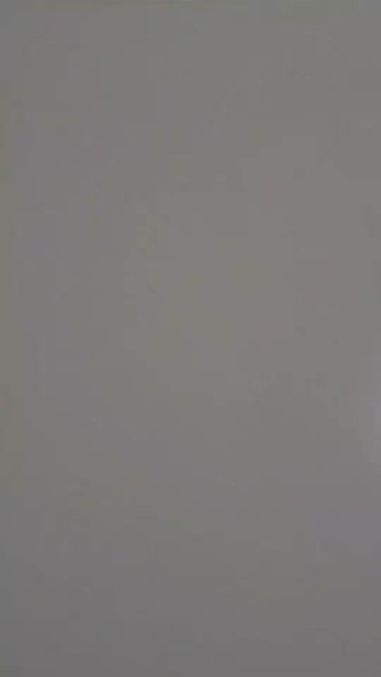 Post 4 by berkeplattkopf on TikTok (video)