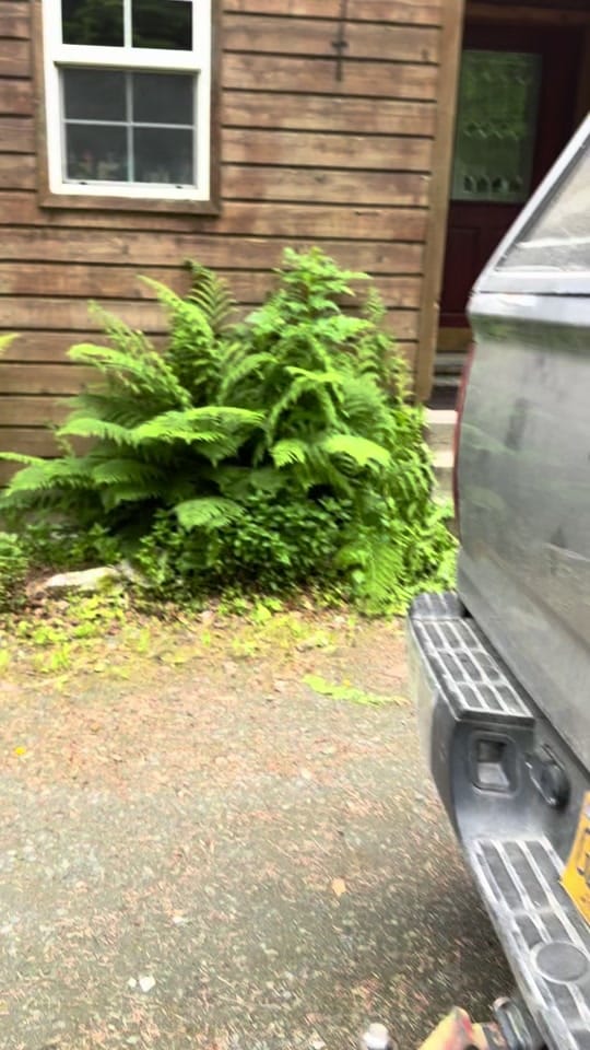 Post 3 by Dr. Oakley Yukon Vet on TikTok (video)