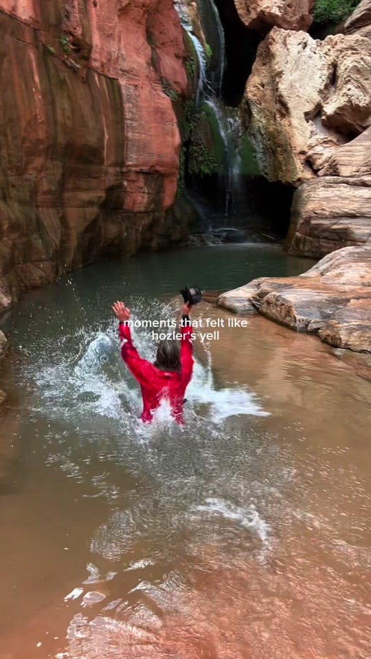 Post 4 by Dr. Oakley Yukon Vet on TikTok (video)