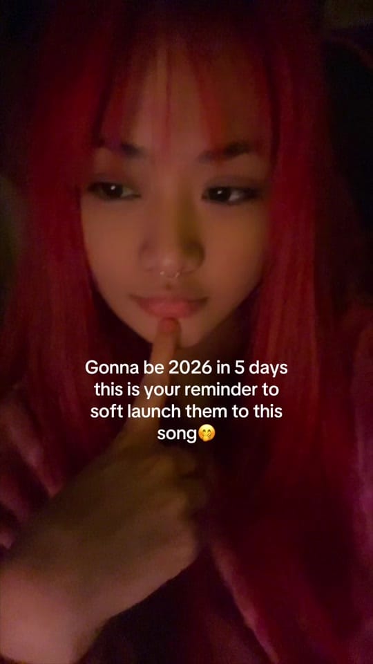 Post 4 by dearveni on TikTok (video)
