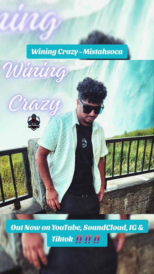 Post 6 by Bhisham Harripersad on TikTok (video)
