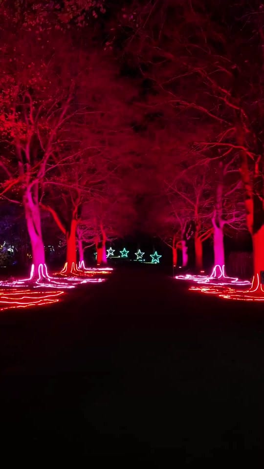 Post 8 by OldDownEstate on TikTok (video)
