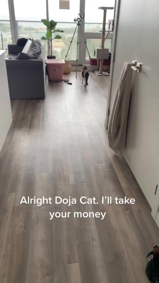 Post 7 by Jarod Monk on TikTok (video)