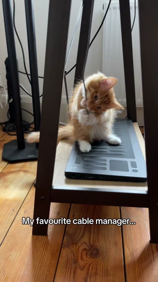 Post 5 by Charlie Fisher Music on TikTok (video)