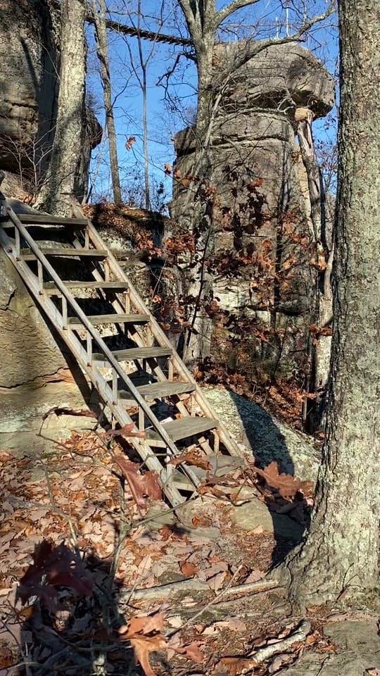Post 10 by user7045745236121 on TikTok (video)